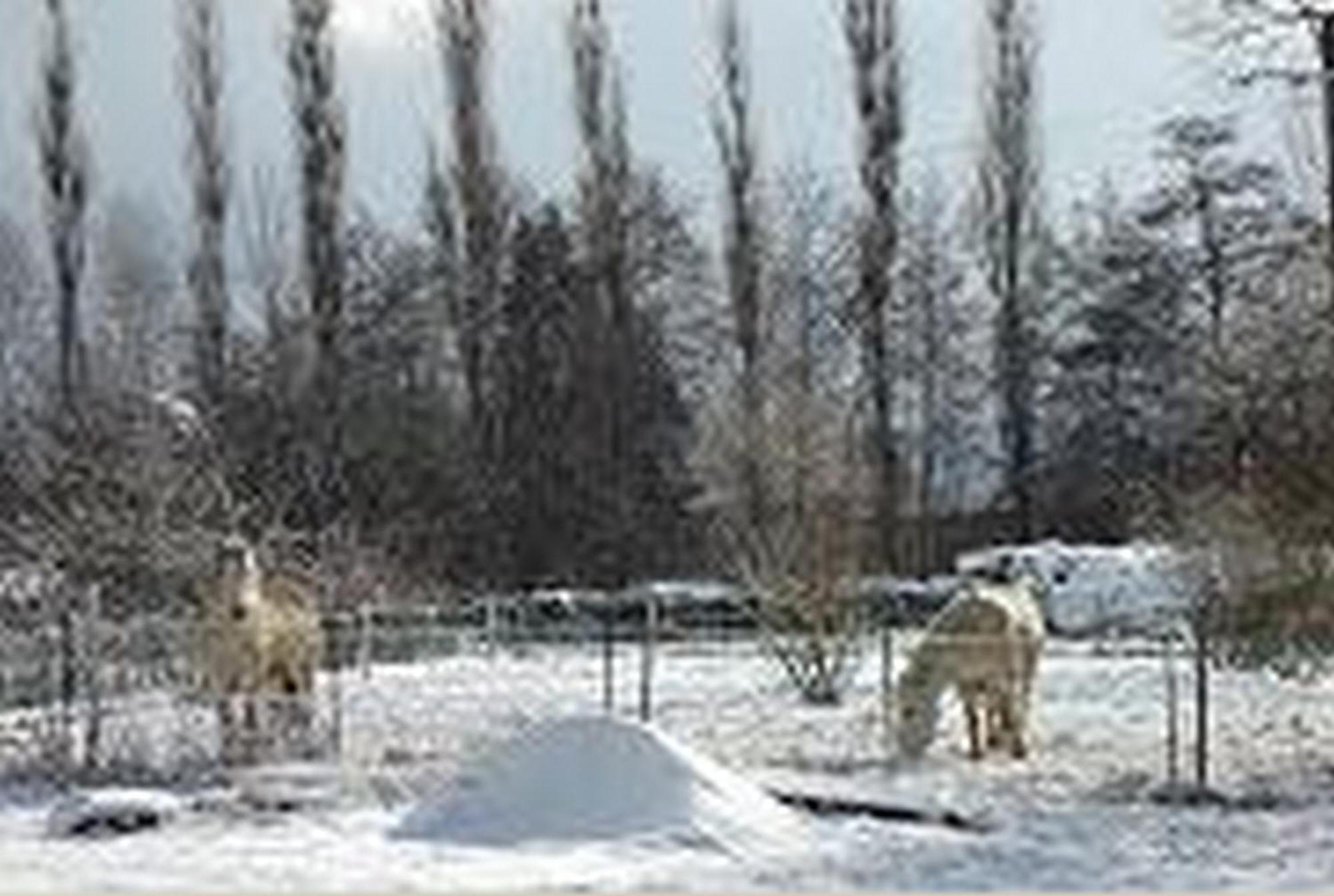 Le Clos Pré La Voivre (Vosges) Exterior foto